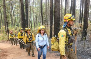 Mantiene Seduma acciones para prevenir incendios forestales