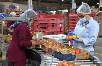 Michoacán, en el top 10 de México con menor tasa de desocupación