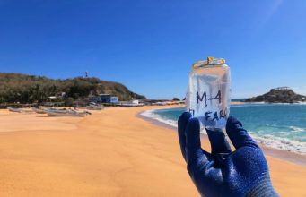 Se vigila sanidad de 12 playas michoacanas