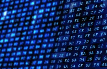 5 diferencias entre algoritmos y redes neuronales en el mundo digital