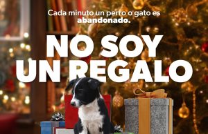 Por esta razón no debes regalar mascotas en Navidad